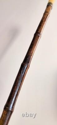 Antique horn carved greyhound handle bamboo walking stick