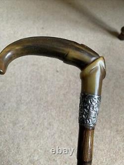 Antique silver collar Vintage Walking Stick Cane Carved Ornate