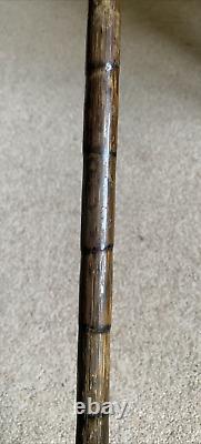 Antique silver collar Vintage Walking Stick Cane Carved Ornate