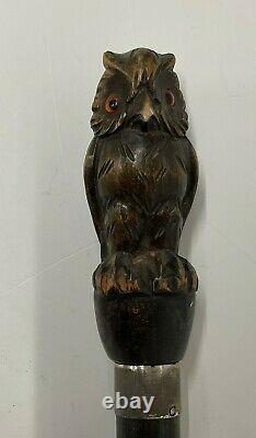 Antique walking stick cane Carved Bird Owl Victorian Glass eyes Silver Collar