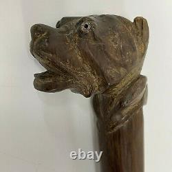 Antique walking stick cane Carved Dog Glass Eyes Victorian 87cm