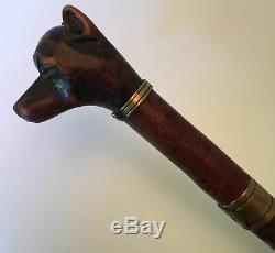 Antique walking stick cane Carved Dog Handle Hound Glass Eyes Brass Collar