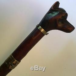 Antique walking stick cane Carved Dog Handle Hound Glass Eyes Brass Collar