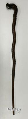 Antique walking stick cane Carved Dragon Chinese Oriental Hardwood