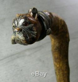 Antique walking stick carved bulldog head handle