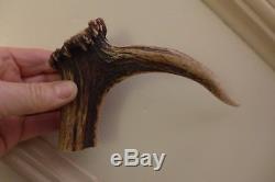 Antler handle perfect for walking stick, etc. Hand carved