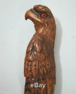 BEST BEAUTIFUL ANTIQUE CARVED WOOD PARROT WALKING STICK HANDLE 1900 cane