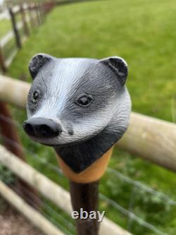 Badger Head Hand Carved in Lime Wood Walking stick on Hazel Shank