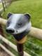 Badger Head Hand Carved in Lime Wood Walking stick on Hazel Shank