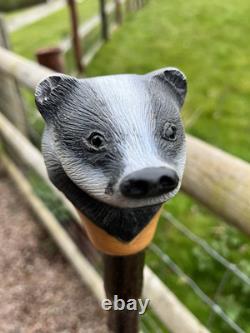 Badger Head Hand Carved in Lime Wood Walking stick on Hazel Shank