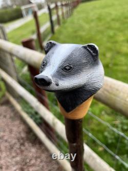 Badger Head Hand Carved in Lime Wood Walking stick on Hazel Shank