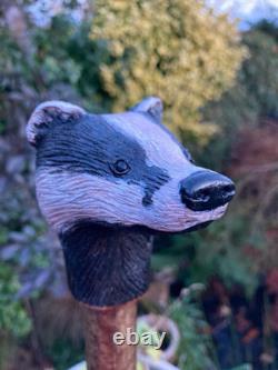 Badger Head Hand Carved in Lime Wood Walking stick on Hazel Shank