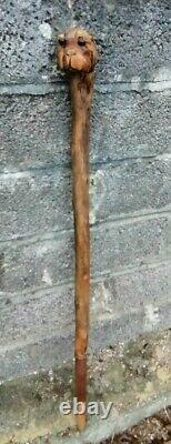 Barn Find Antique Figural Bulldog / Boxer Hand Carved Walking Stick / Cane