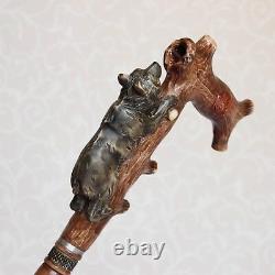 Bear Walking Stick Cane Wood Hand carved handle Hiking Staff Grizzly handcrafted