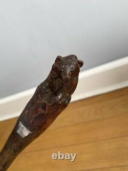 Beautiful Black Forest Carved Bear Walking Cane