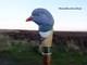 Beautiful Wooden walking stick hand carved Bird wooden walking cane