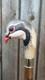Bird handle hand carved wooden walking stick for men women cane best gift