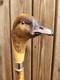Bird handle wooden hand carved walking stick for men women walking cane
