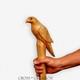 Bird on Cane Handmade -Carved Cane Exclusive Walking Stick Cane Gift Decor Item