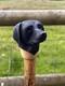 Black Labrador Head, Hand Carved in Lime Country Walking stick