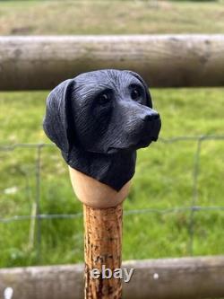 Black Labrador Head, Hand Carved in Lime Country Walking stick