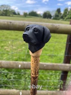 Black Labrador Head, Hand Carved in Lime Country Walking stick