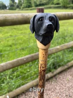 Black Labrador Head, Hand Carved in Lime Country Walking stick