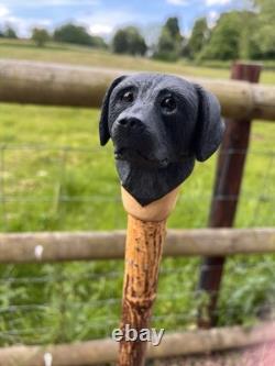 Black Labrador Head, Hand Carved in Lime Country Walking stick