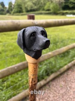 Black Labrador Head, Hand Carved in Lime Country Walking stick