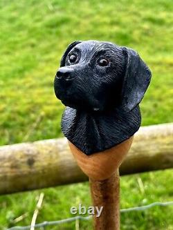 Black Labrador Head, Hand Carved in Lime Country Walking stick