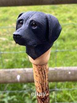 Black Labrador Head, Hand Carved in Lime Country Walking stick