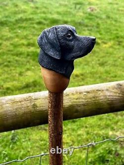 Black Labrador Head, Hand Carved in Lime Country Walking stick