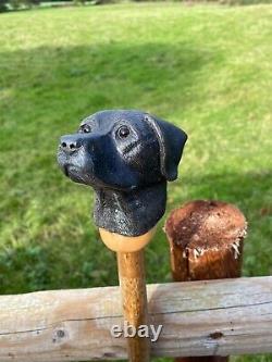 Black Labrador Head, Hand Carved in Lime on Hazel Shank Country Walking stick