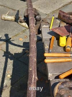 Blackthorn Walking Stick 39 Inches, Celtic Badge Hand Carved Into The Stick