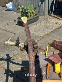 Blackthorn Walking Stick 39 Inches, Celtic Badge Hand Carved Into The Stick