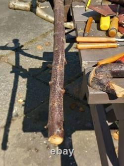 Blackthorn Walking Stick 39 Inches, Celtic Badge Hand Carved Into The Stick