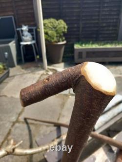 Blackthorn Walking Stick 39 Inches, Celtic Badge Hand Carved Into The Stick