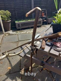 Blackthorn Walking Stick 39 Inches, Celtic Badge Hand Carved Into The Stick