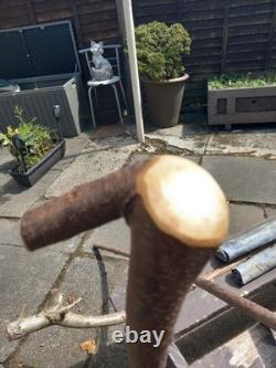 Blackthorn Walking Stick 39 Inches, Celtic Badge Hand Carved Into The Stick