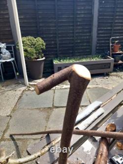 Blackthorn Walking Stick 39 Inches, Celtic Badge Hand Carved Into The Stick