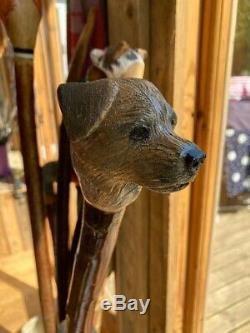 Border Terrier Head Carved from Lime on Blackthorn Shank Walking stick