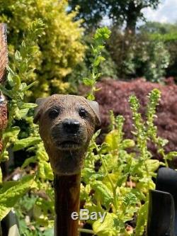 Border Terrier Head Carved from Lime on Blackthorn Shank Walking stick