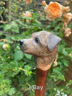 Border Terrier Head Carved from Lime on Blackthorn Shank Walking stick