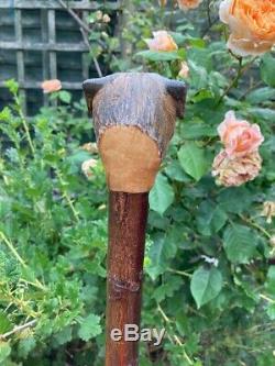 Border Terrier Head Carved from Lime on Blackthorn Shank Walking stick