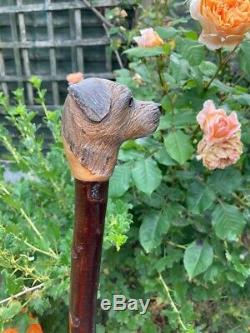 Border Terrier Head Carved from Lime on Blackthorn Shank Walking stick