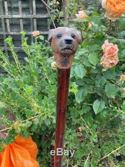Border Terrier Head Carved from Lime on Blackthorn Shank Walking stick