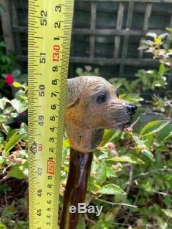 Border Terrier Head Carved from Lime on Blackthorn Shank Walking stick