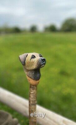 Border Terrier Head Carved in Lime on Hazel Shank Country Walking stick