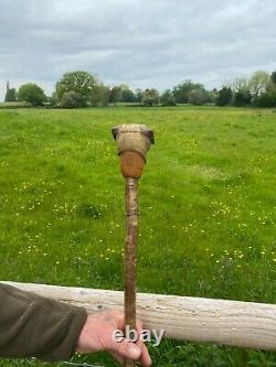 Border Terrier Head Carved in Lime on Hazel Shank Country Walking stick