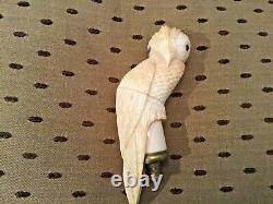 Bovine Bone Carved Parrot Bird Walking Stick Handle 13 Cms